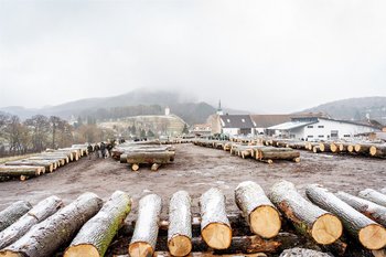 Laubholzversteigerung in Heiligenkreuz (NÖ)