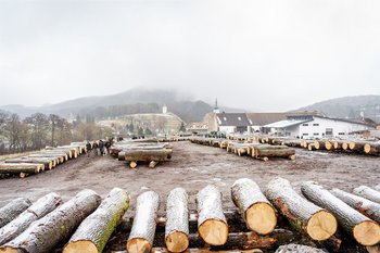 Laubholzversteigerung in Heiligenkreuz (NÖ)