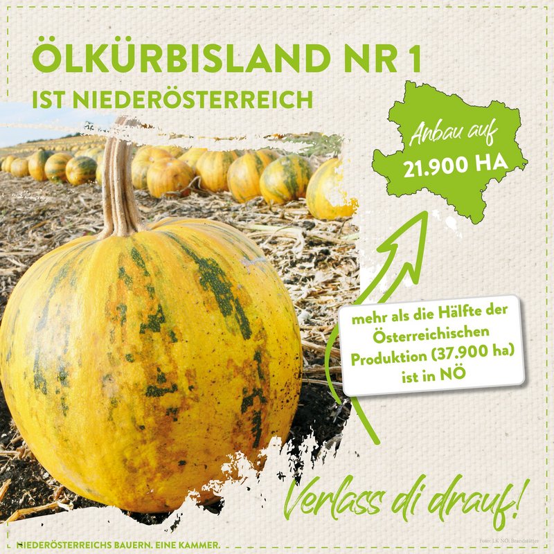 Informationen zu Ölkürbis in Niederösterreich