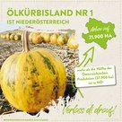 Informationen zu Ölkürbis in Niederösterreich