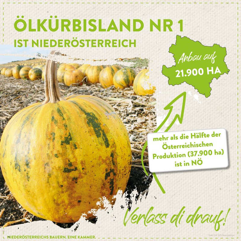 Informationen zu Ölkürbis in Niederösterreich