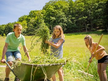 Kinder beim Heu arbeiten