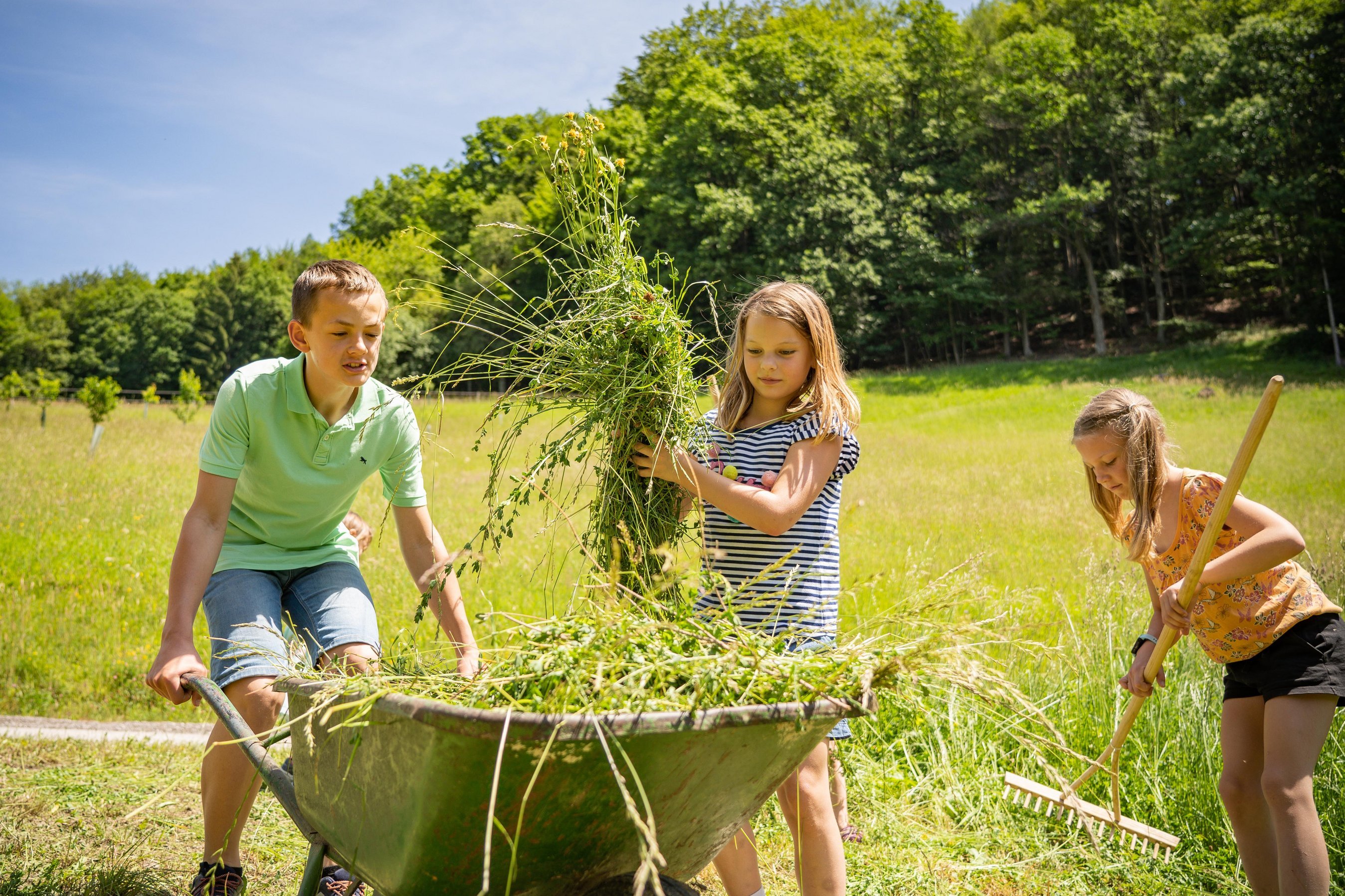 Kinder beim Heu arbeiten