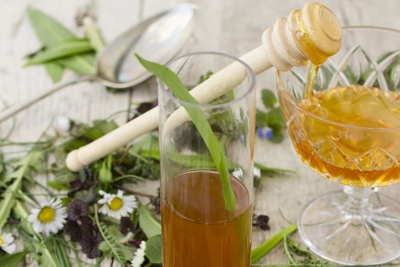 Oxymel ©Tobias Schneider-Lenz