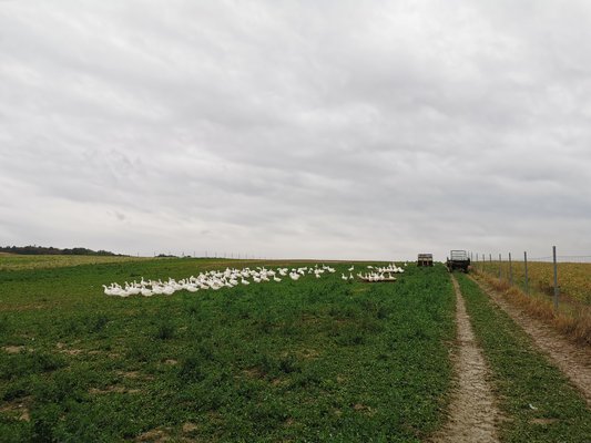 Afterwork Landpartie ©Theresa Sterkl/LK Niederösterreich