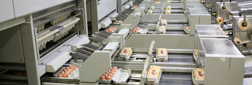 Eier auf Packstelle ©AMA Marketing