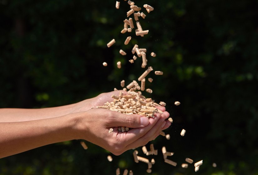 Pellets ©BMLRT/Alexander Haiden 