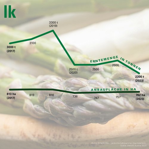 Spargelernte und Anbaufläche von 2017 bis 2023