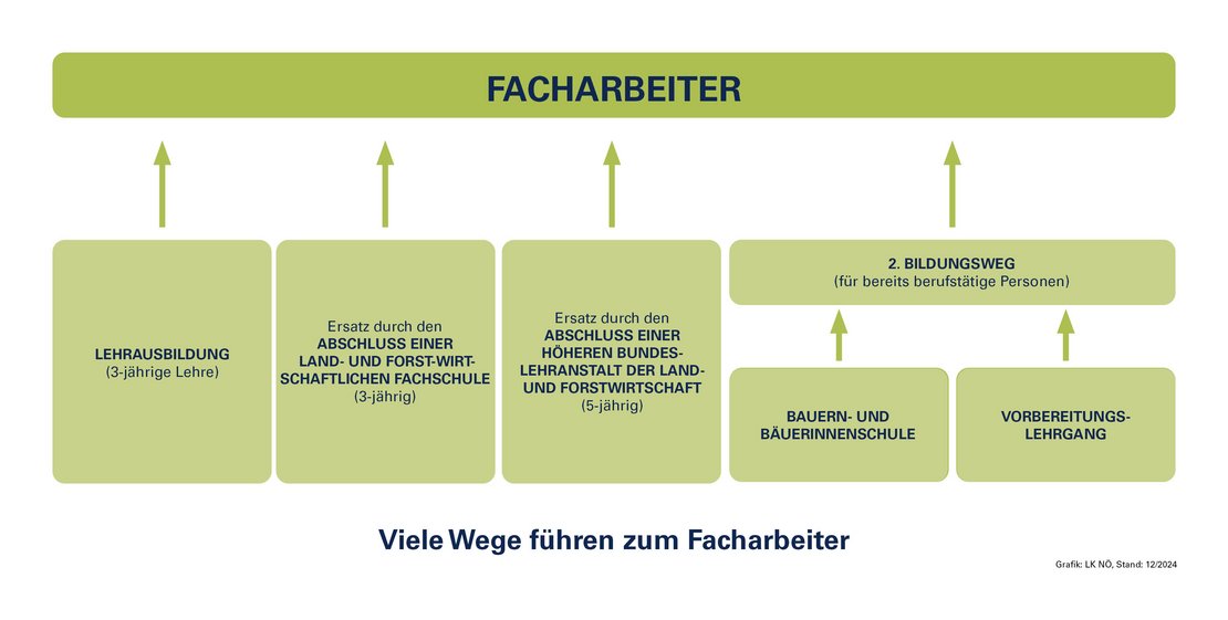 Viele Wege führen zum Facharbeiter