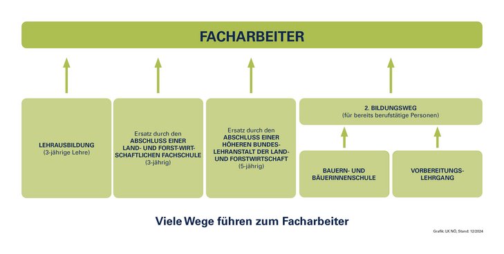 Viele Wege führen zum Facharbeiter