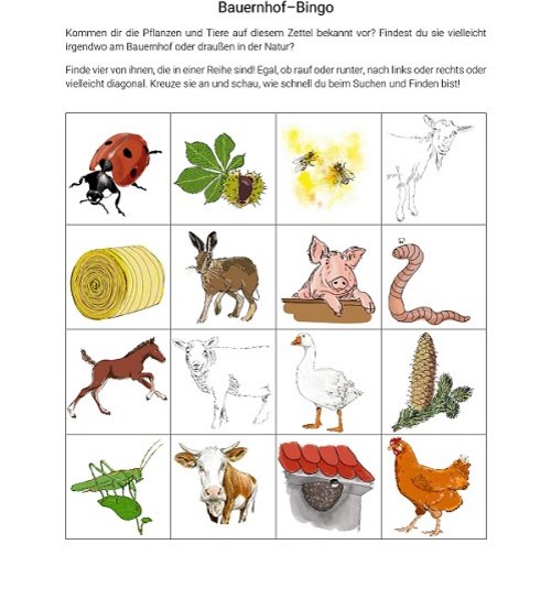 Grafik Vorlage für Bingo-Spiel mit Bauernhof-Motiven