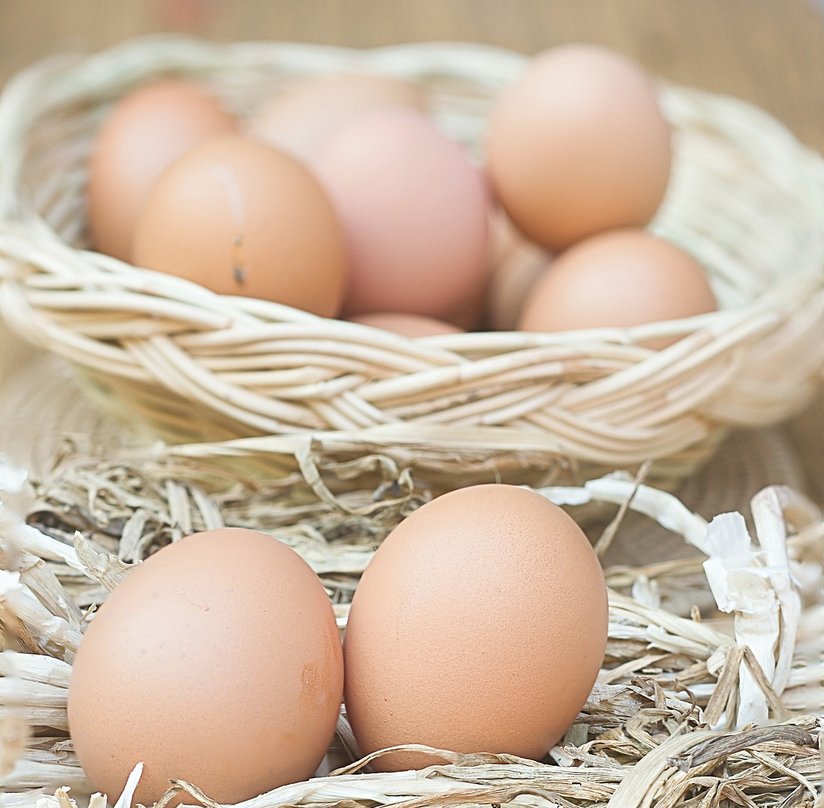 Eier in Körbchen ©pixabay