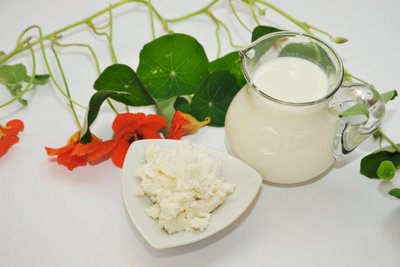 Topfen als Wundermittel für den Körper kann bei Entzündungen, Fieber, Verkühlungen aber auch als Schönheitsmaske eingesetzt werden.