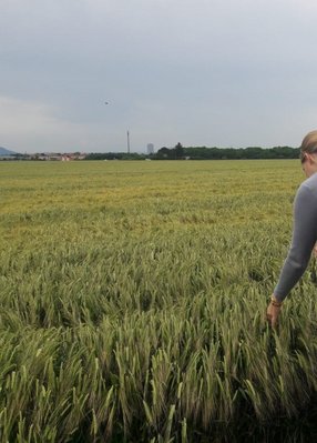 Afterwork Landpartie Weizenfeld ©Teresa Neuhold/LK Niederösterreich