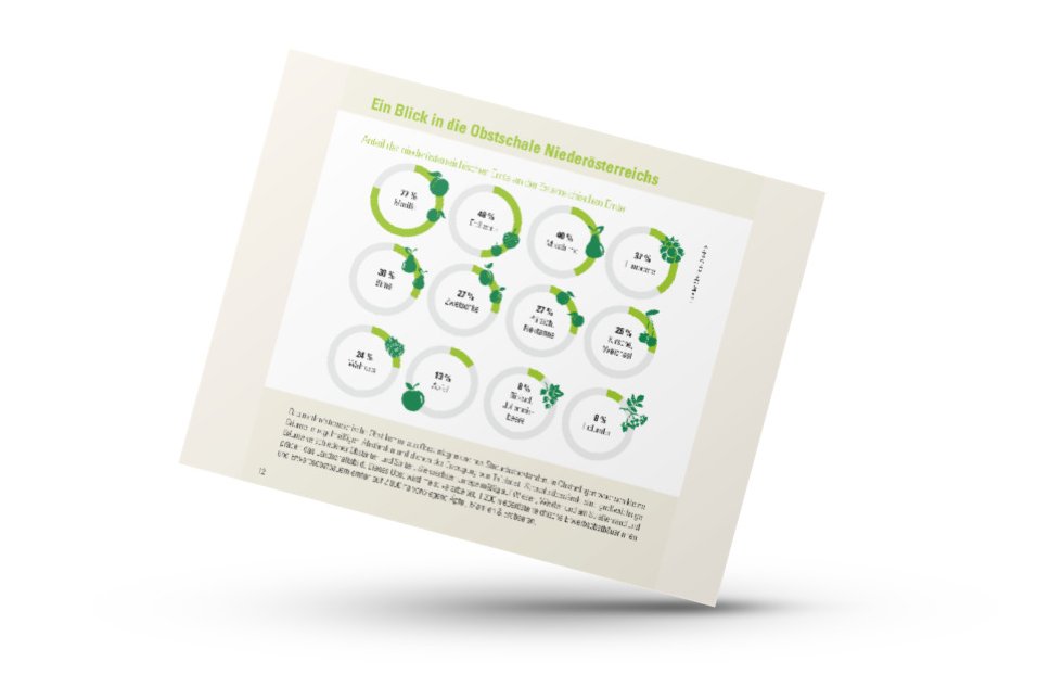 Mockup von Infografik der Zahlen-Daten-Broschüre der Landwirtschaftskammer Niederösterreich zu Obstanlagen und Streuobst