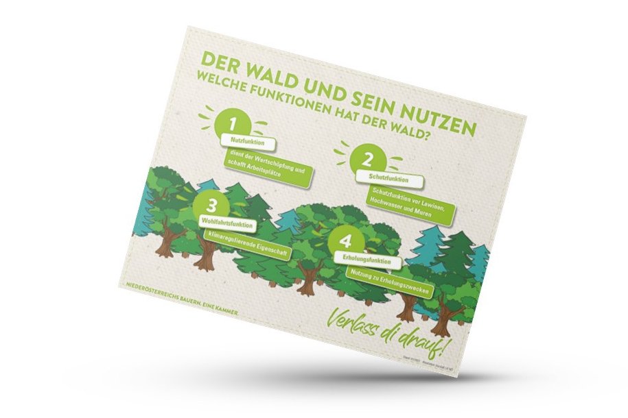 Mockup von Infografik von Verlass di drauf der Landwirtschaftskammer Niederösterreich zum Wald und seinem Nutzen