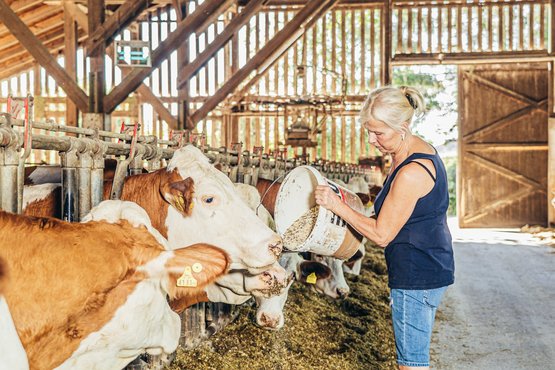 Frau füttert Kühe im Stall ©Georg Pomaßl/LK Niederösterreich