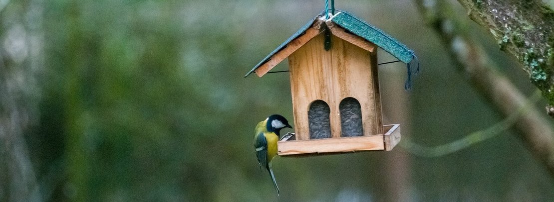 Vogelhäuschen ©pixabay