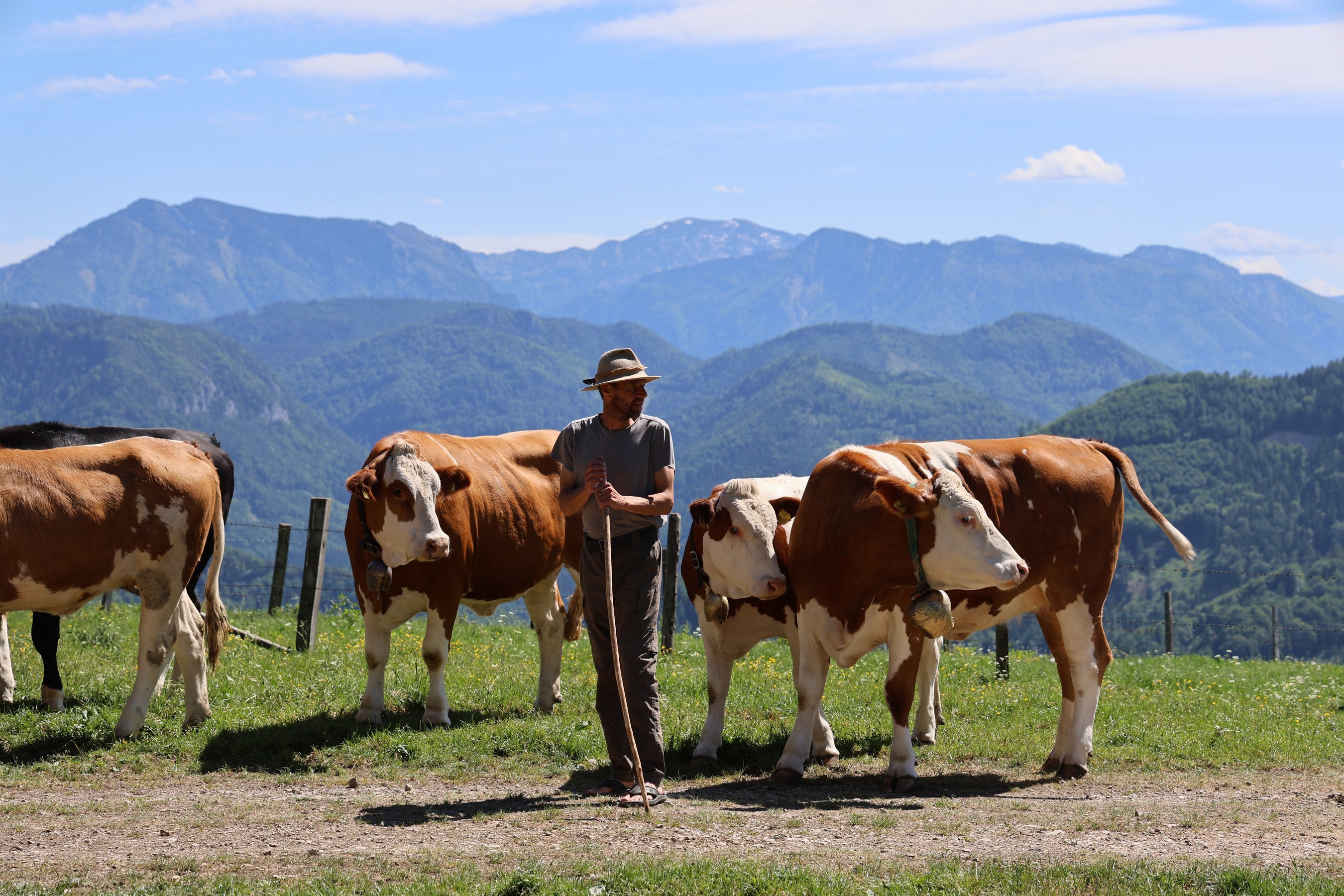 76. NÖ Almwandertag führt auf die Kapler Alm Titelimage