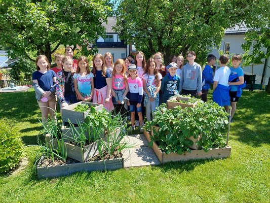 Erdäpfelpyramide in einer Schule mit Schulkindern