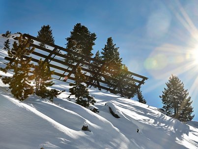 Lawinenverbauung und Schutzwald in Obergurgl ©BMLRT/Alexander Haiden
