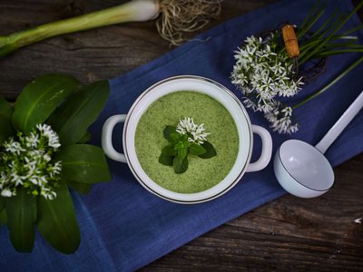 Bärlauch Blätter und Blüten neben Suppentopf mit Bärlauchsuppe und Schöpfer
