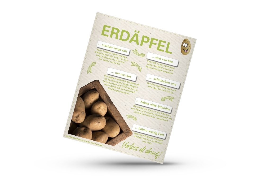 mockup von Infografik von Verlass di drauf der Landwirtschaftskammer Niederösterreich zum Erdäpfel-Anbau und dem Lebensmittel Erdäpfel