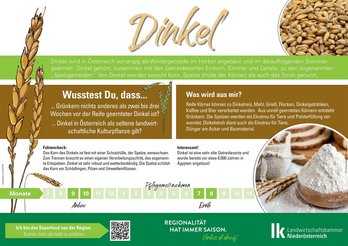 Dinkel.jpg
