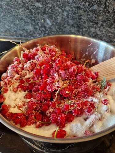 Ribisel in einem großen Topf mit der halben Gelierzuckermenge verrühren.