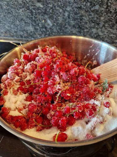 Ribisel in einem großen Topf mit der halben Gelierzuckermenge verrühren.