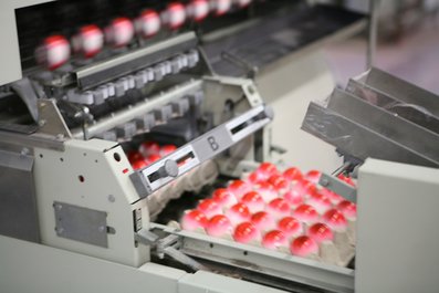 Eier auf Packstelle ©AMA Marketing