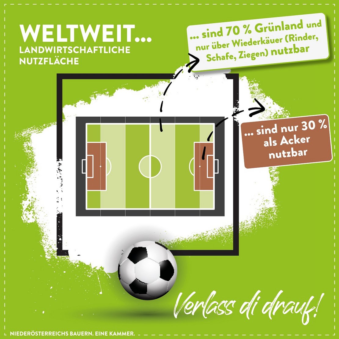 Landwirtschaftliche Nutzfläche