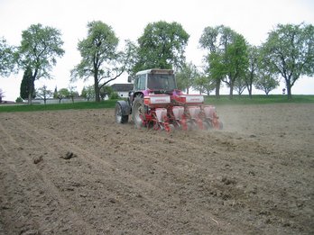 Maisanbau im Frühjahr mit Traktor