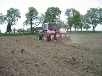 Maisanbau im Frühjahr mit Traktor