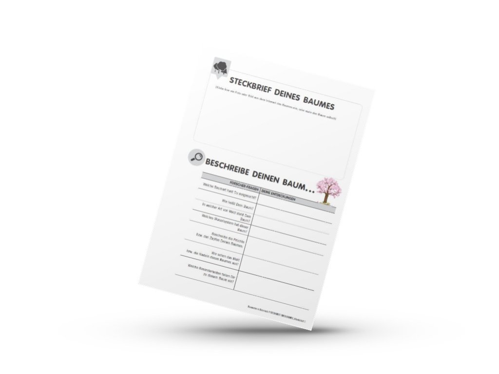 Baumarten in Österreich - Steckbrief vom persönlichen Baum