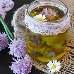 Schnittlauch und Schnittlauchblüte neben Schnittlauchöl