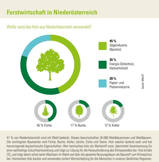 Infografik der Zahlen-Daten-Broschüre der Landwirtschaftskammer Niederösterreich zur Waldfläche und Forstwirtschaft in Niederösterreich