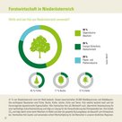 Infografik der Zahlen-Daten-Broschüre der Landwirtschaftskammer Niederösterreich zur Waldfläche und Forstwirtschaft in Niederösterreich