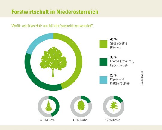 Infografik der Zahlen-Daten-Broschüre der Landwirtschaftskammer Niederösterreich zur Waldfläche und Forstwirtschaft in Niederösterreich