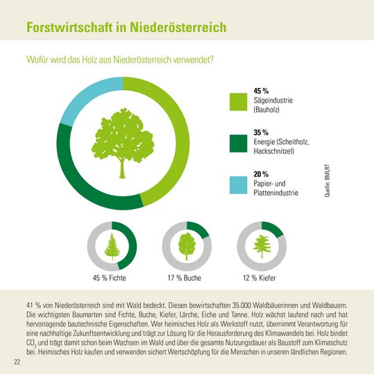 Infografik der Zahlen-Daten-Broschüre der Landwirtschaftskammer Niederösterreich zur Waldfläche und Forstwirtschaft in Niederösterreich
