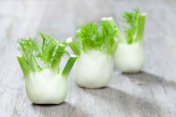 Drei Fenchelknollen liegen auf einem Holztisch