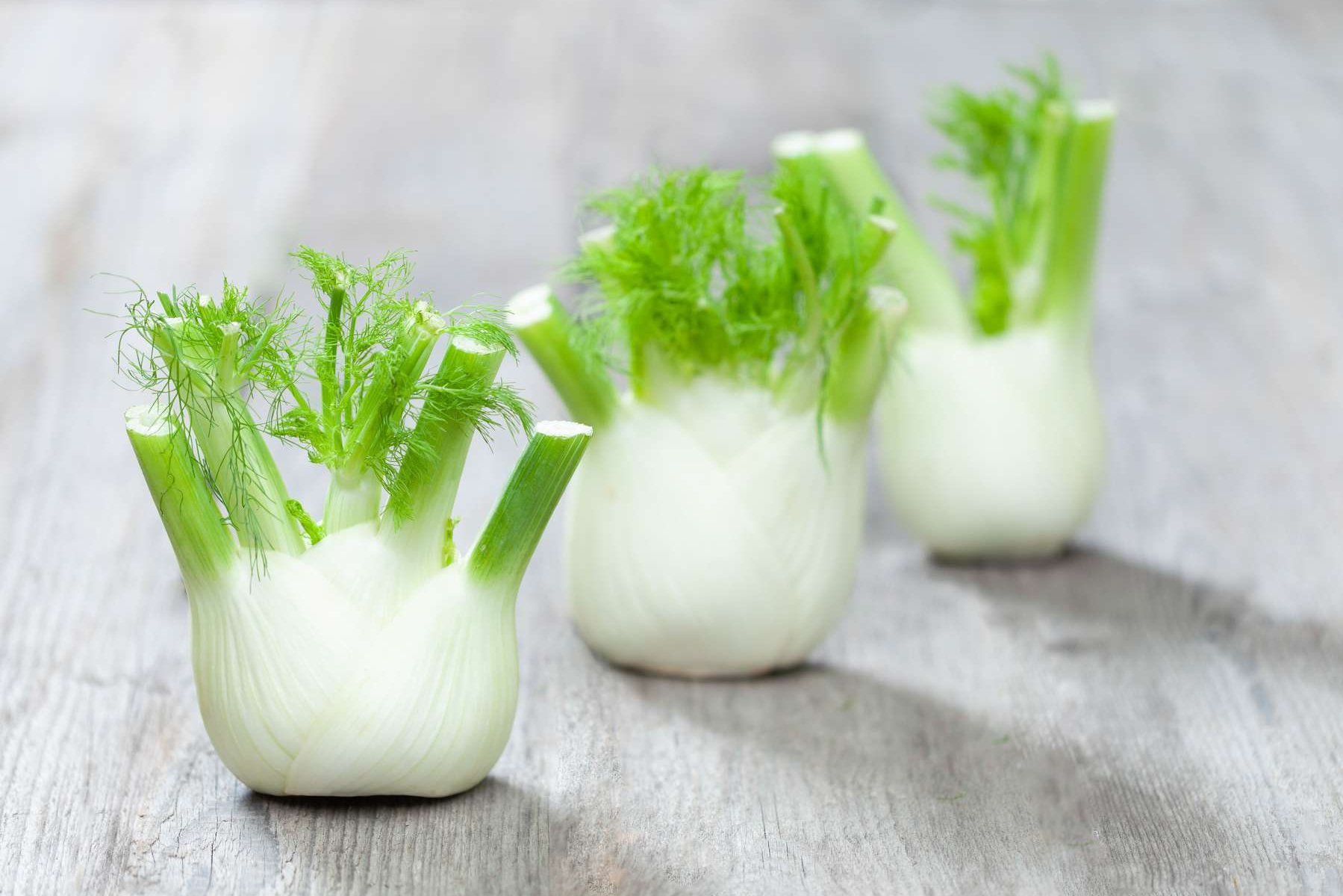 Drei Fenchelknollen liegen auf einem Holztisch