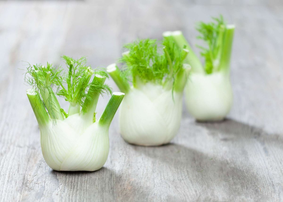 Wurzel und Knollengemüse Weg der Lebensmittel Landwirtschaft verstehen