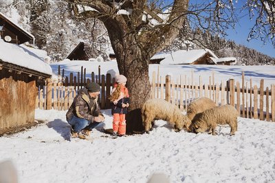 Vater mit Tochter bei Schafen im Schnee ©Urlaub am Bauernhof