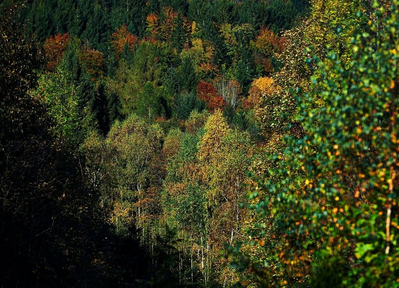 Yspertal ©BMLRT/Alexander Haiden