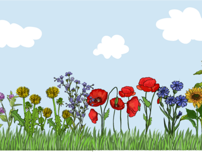 Blühstreifen mit Himmel