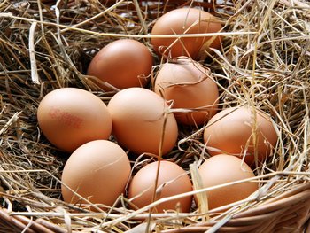Eier im Strohnest