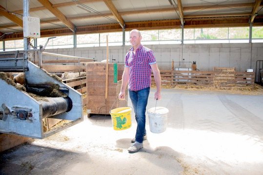 Schafbauer Florian Sterkl im Stall beim Füttern seiner Schafe