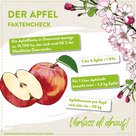 Fakten Daten Zahlen zum Apfel, Anbau, Saft, Ertrag, Konsum in Österreich