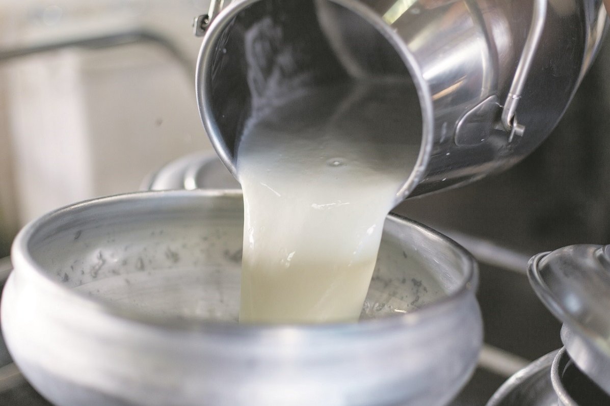 Milchkanne leert Milch in Kanne